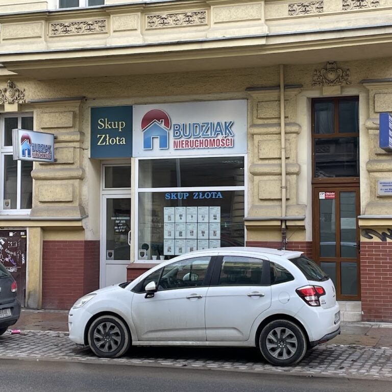 Budziak. Nieruchomości